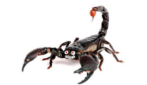 Scorpio Horoscope