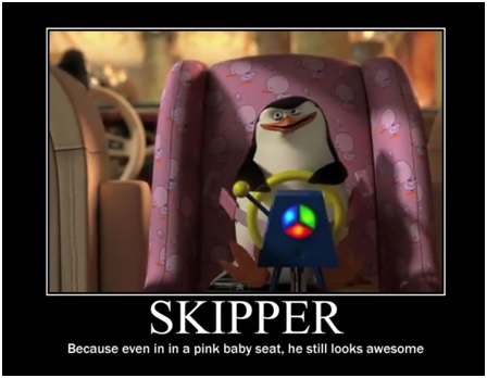 What's a Skipper?