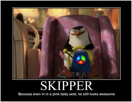 Whats a Skipper?