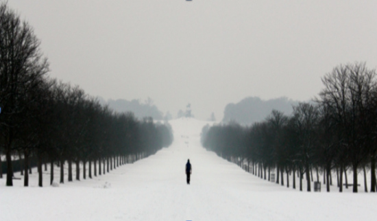 Spend a Snow Day Unplugged