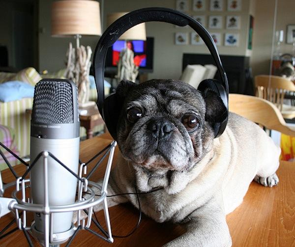 Top 5 podcasts that don’t make you feel like you’re wasting time