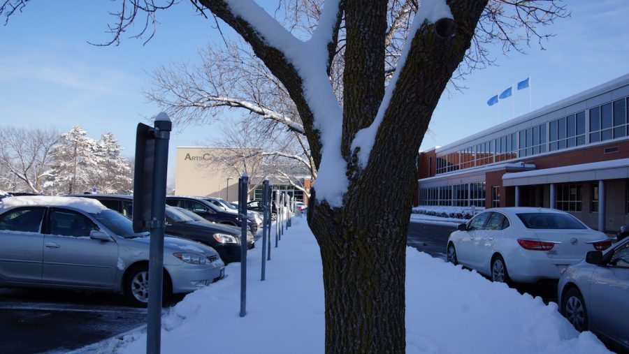 Snow falls on tree in the parking lot outside of Main Entrance.