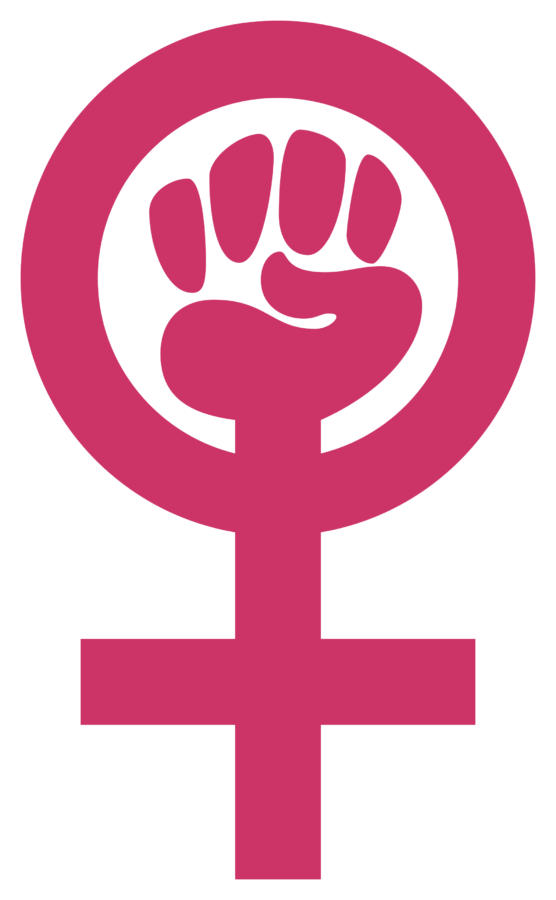 635947167274796536-1051113019_feminist symbol 2