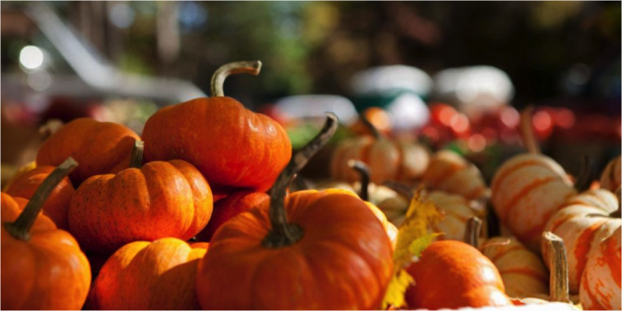 Popular Minnesotan Traditions to Enjoy This Fall With Your Family