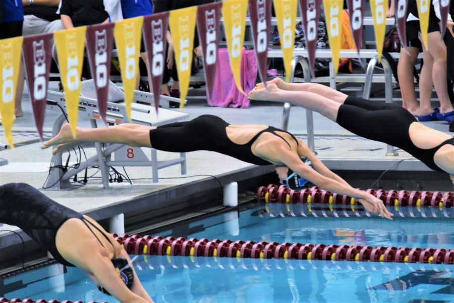 Girls Swim & Dive Head to State 2017