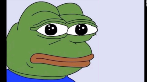 Life Cycle of Memes: Where They Go After Their Time in the Spotlight