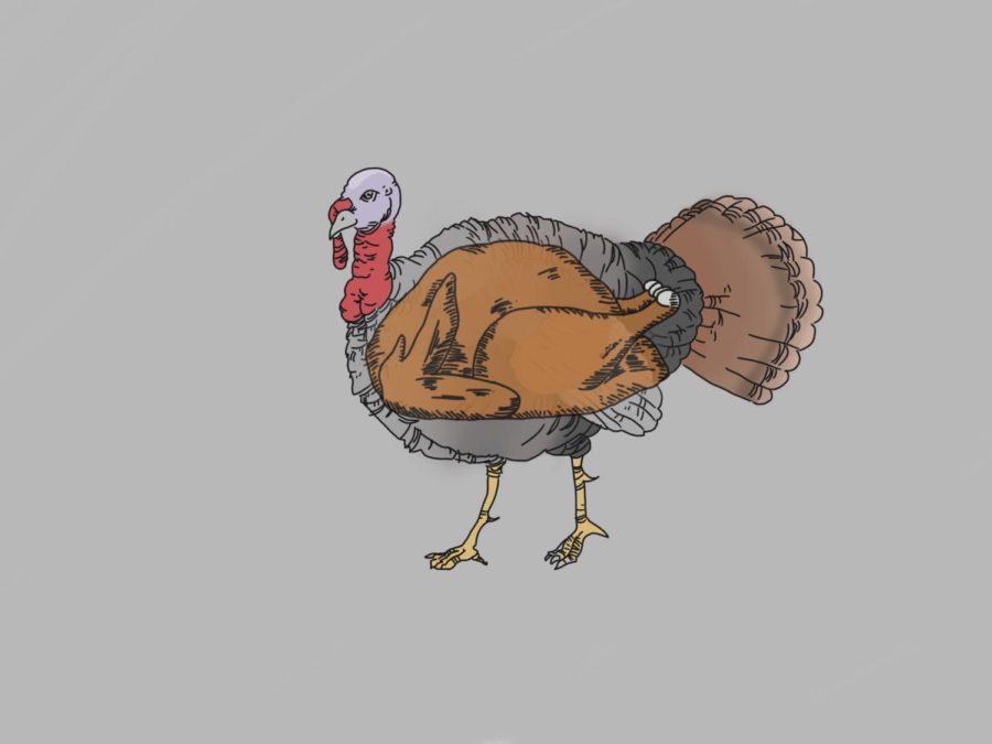 The Fowl Truth: Impact of Selective Breeding on Turkeys