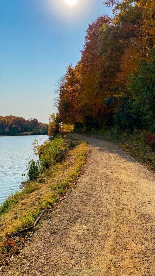 Exploring Local Trails: A Safe Relaxing Activity To Do During Quarantine