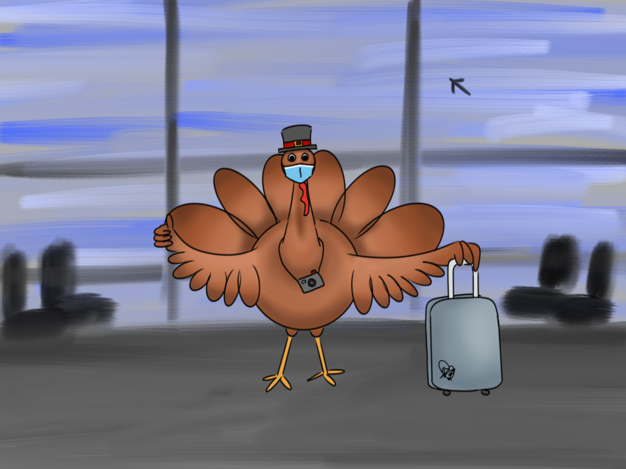 Should Americans be traveling during Thanksgiving with COVID 19 still occurring?