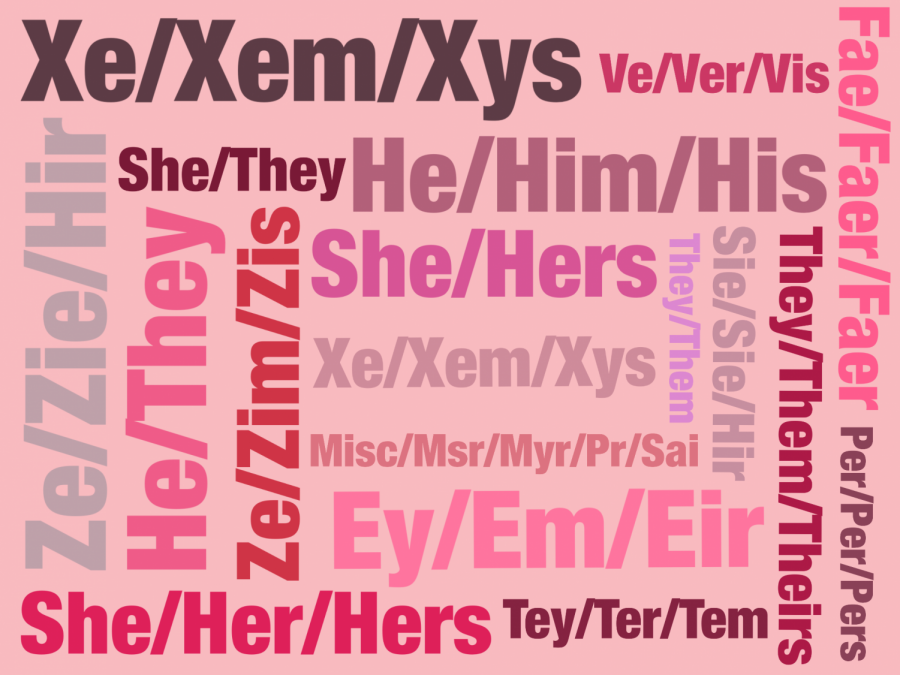 The importance of asking for pronouns/preferred names at the beginning of the school year