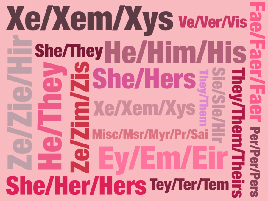 The+importance+of+asking+for+pronouns%2Fpreferred+names+at+the+beginning+of+the+school+year