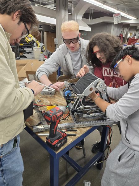 Chickens, Robots, and Community