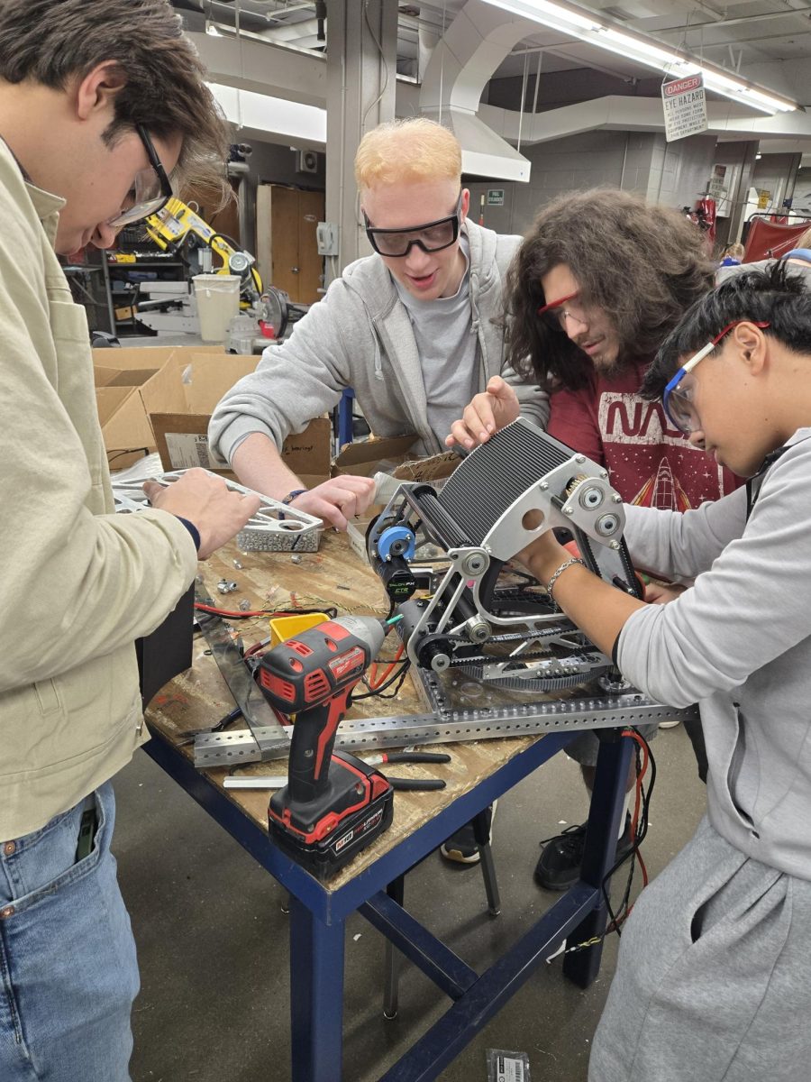 Chickens, Robots, and Community