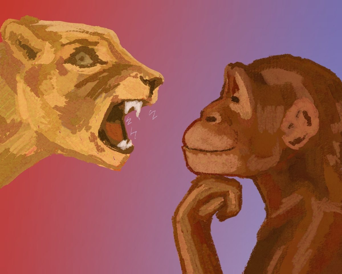 Chalance and nonchalance: can’t we be both? (Drawing of a nonchalant ape face to face with an chalant lion)| Art by Salma Ali