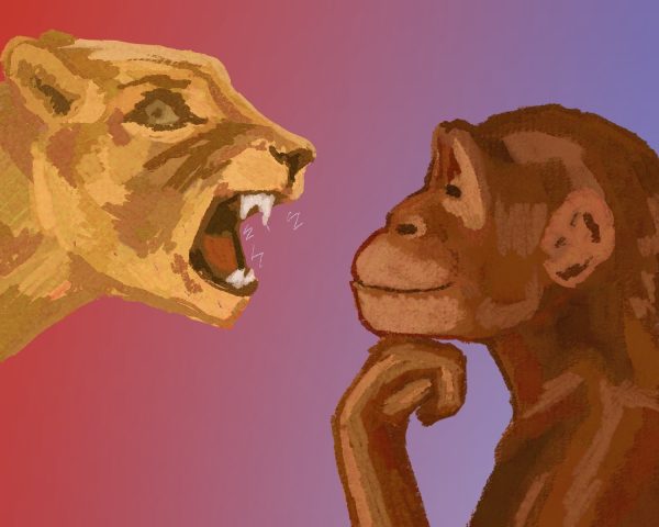 Chalance and nonchalance: can’t we be both? (Drawing of a nonchalant ape face to face with an chalant lion)| Art by Salma Ali